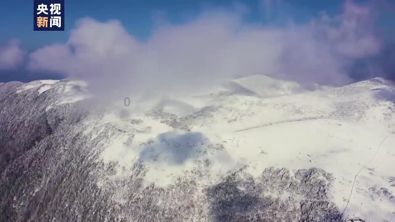 针织衫的高阶穿法值得推荐的,都有哪些呢?知识星球-知识共享,尽览无限可能